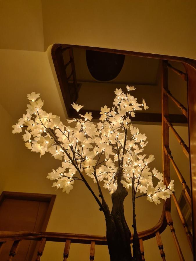 Guest house House Aveiro