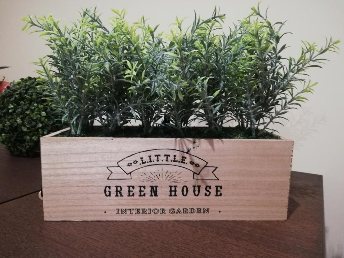 Guest house House